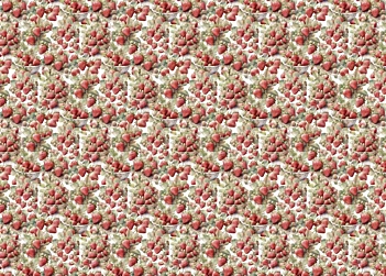 Tela de encuadernar Strawberry III Fruits Market PapersForYou 70x50cm