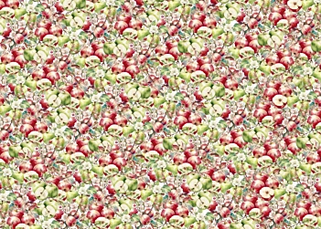 Tela de encuadernar Apples II Fruits Market PapersForYou 70x50cm