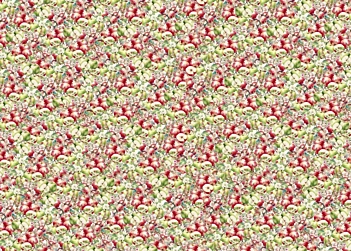 Tela de encuadernar Apples III Fruits Market PapersForYou 70x50cm