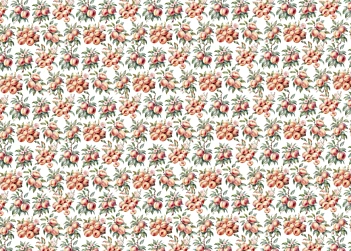 Tela de encuadernar Peaches I Fruits Market PapersForYou 70x50cm