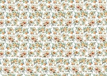 Tela de encuadernar Oranges I Fruits Market PapersForYou 70x50cm