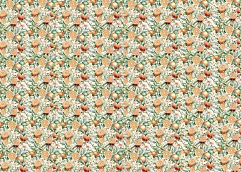 Tela de encuadernar Oranges III Fruits Market PapersForYou 70x50cm
