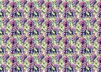 Tela de encuadernar Grapes II Fruits Market PapersForYou 70x50cm