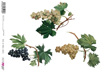 Grapes PapersForYou Rice Paper 30x21cm