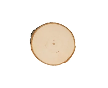 Disques en peuplier « Woodland Artemio » Ø 6,5 cm