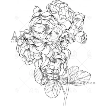 Sello de caucho Wild Roses #02 AB Studio