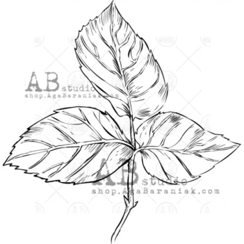 Sello de caucho Small Leaf AB Studio