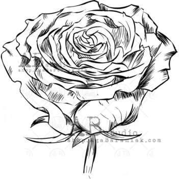 Sello de caucho Roses AB Studio