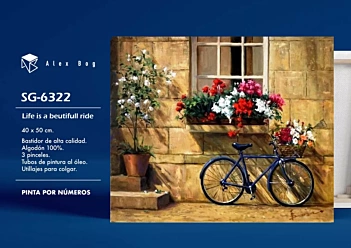 Alex Bog Schilderen op Nummer Kit Life Is A Beautiful Ride 40x50cm