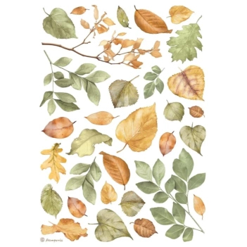 Papel de arroz Hojas Best Sellers Stamperia 21x30cm