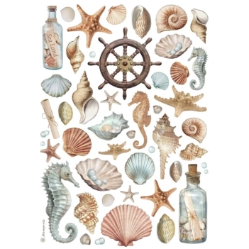Carta di Riso Conchiglie Best Sellers Stamperia 21x30cm