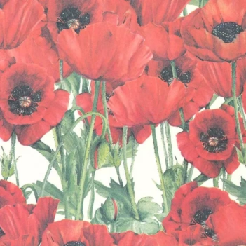 Papel Tassotti Amapolas