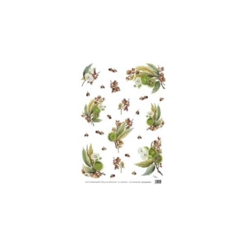 Papel de Arroz Castañas 35x50cm Rich