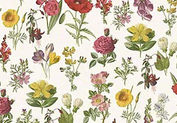 Tassotti Papier Aquarel Bloemen