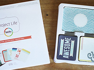 ¿Qué es Project Life?
