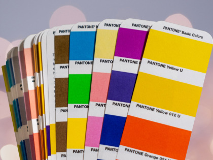 Do You Know How To Choose Colors For Your Projects?